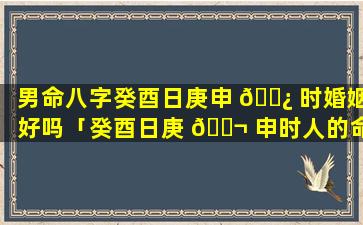 男命八字癸酉日庚申 🌿 时婚姻好吗「癸酉日庚 🐬 申时人的命运」